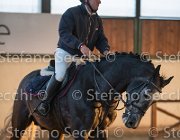 CAletto della Verdina TosTour2013- S5 3152 : Arezzo, Arezzo Equestrian Centre, Caletto della Verdina, Cavalli d'Italia, Toscana Tour 2013, foto di Stefano Secchi ©